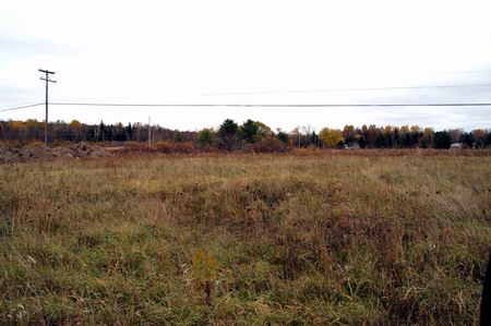 Paul Bunyan Drive-In Theatre - The Lot (newer photo)